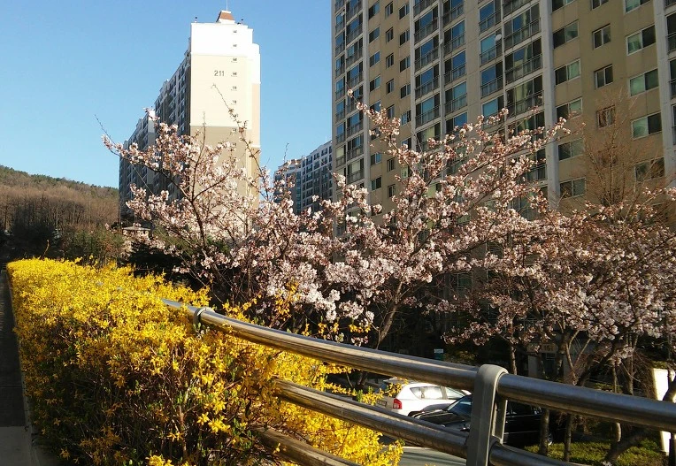 26468148570366A8014760