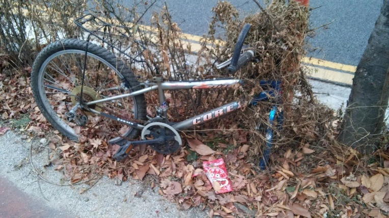 232927415854CB4C090169