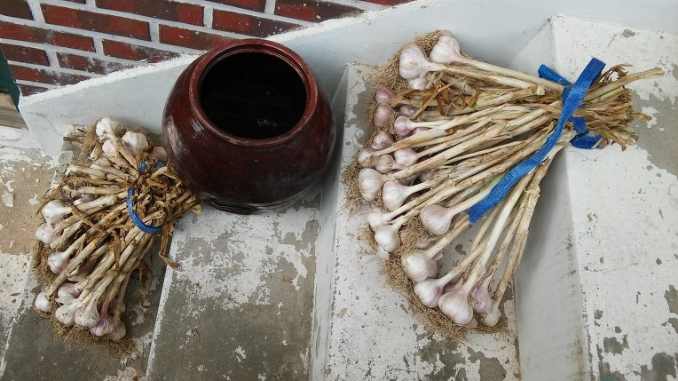 222FE03D5768A7AE1EF7CC