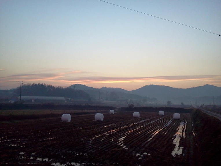 03119D3F50935FDD225D56