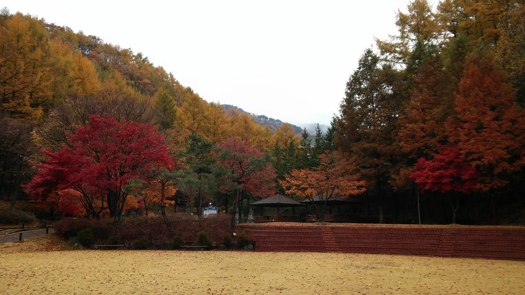 2468163B563D8461177CEC