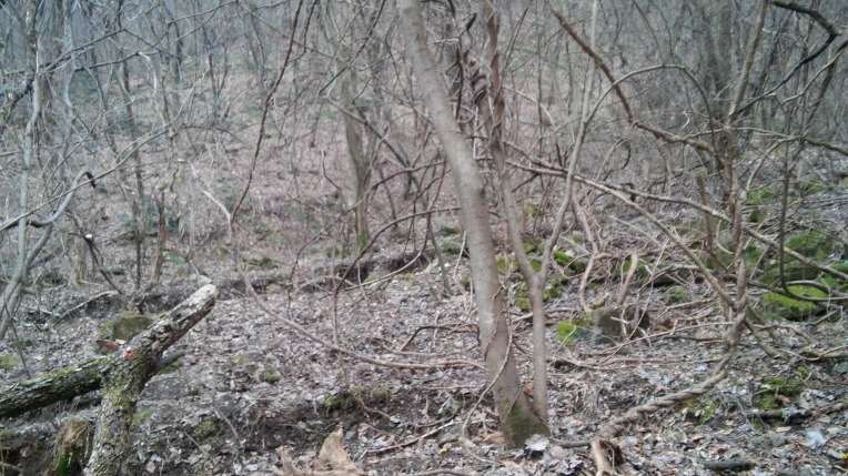 23453C4056D10865184659