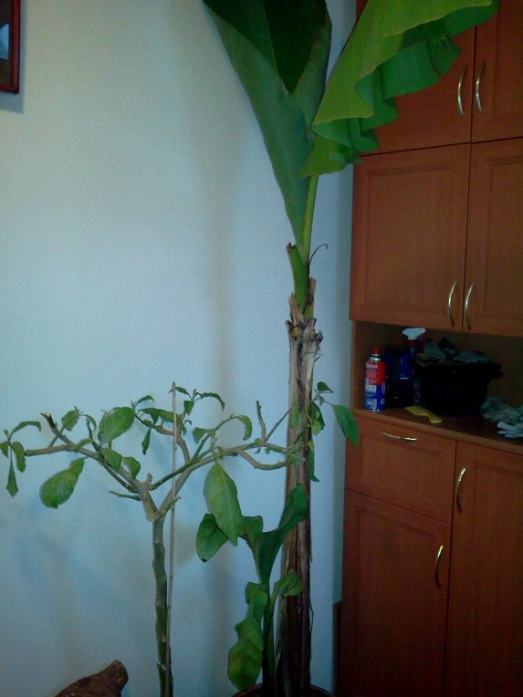 1662BB424F0621BC329547