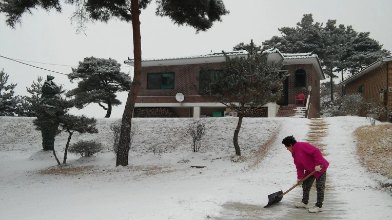 275AC439588189461D1C4A