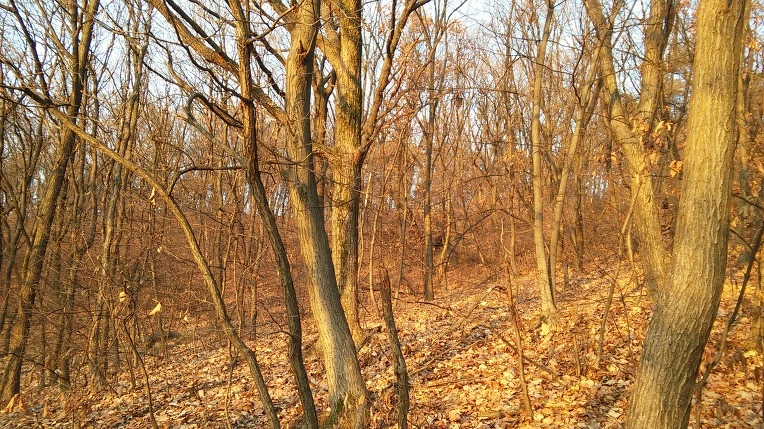 2722134C58C1E32522934B