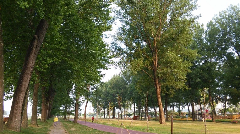 2145F94C576B4DC502D0D6