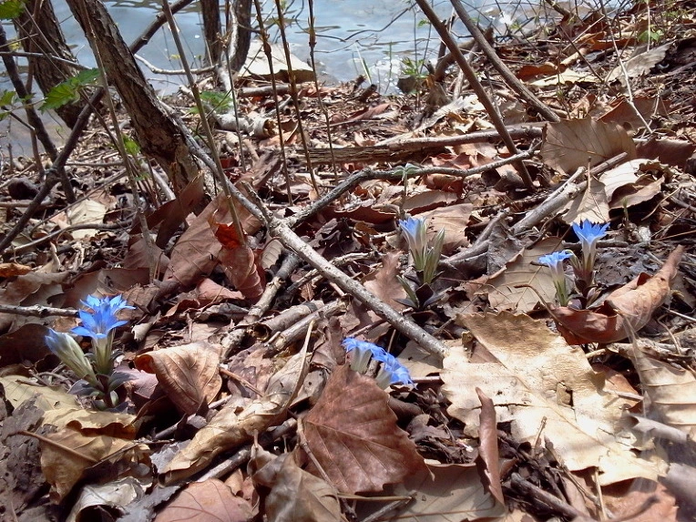 121123424DBF9FEC148411