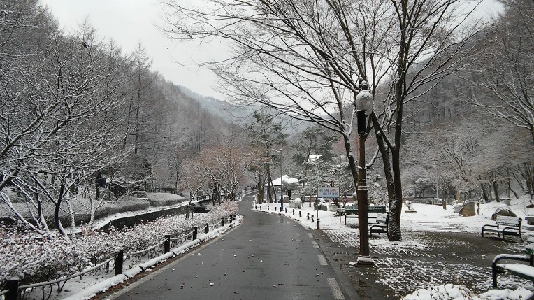 211B39395656A509316430