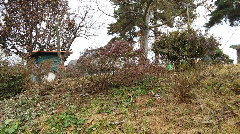 27024239582A345313577A