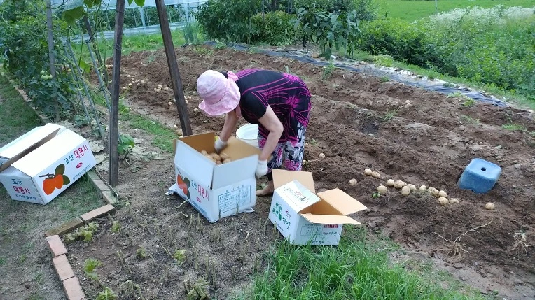 99B697495B3D58561B0838