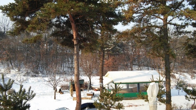 2321FB3554BC7ED10CD920