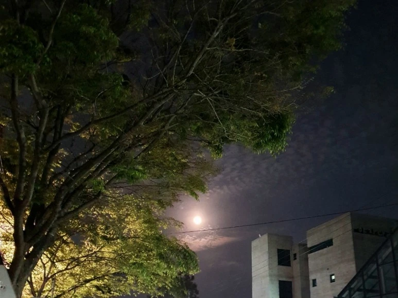 20220416%EF%BC%BF200544.jpg?type=w773