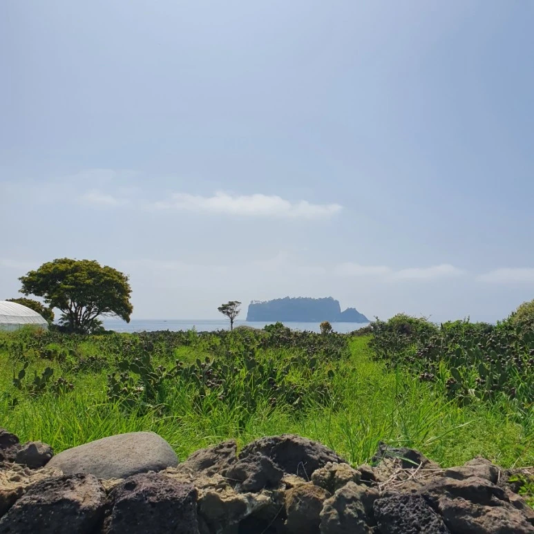 20220424%EF%BC%BF103801.jpg?type=w773