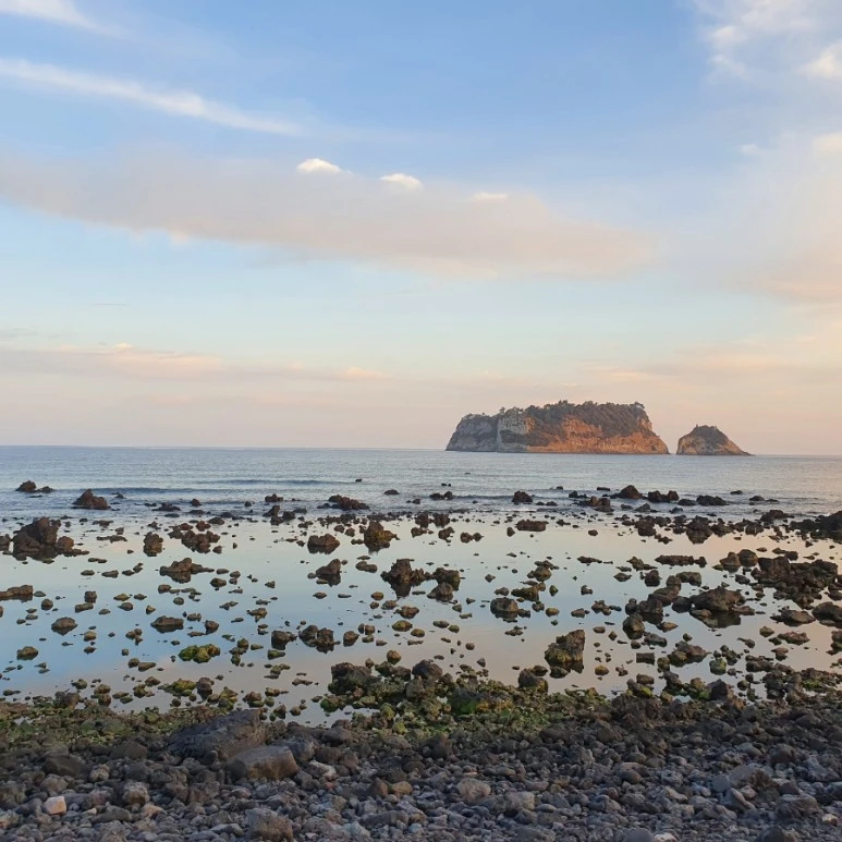 20220315%EF%BC%BF182833.jpg?type=w773