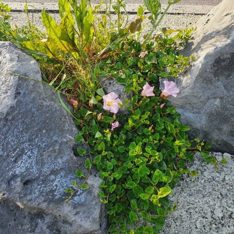 20220420%EF%BC%BF162944.jpg?type=w773