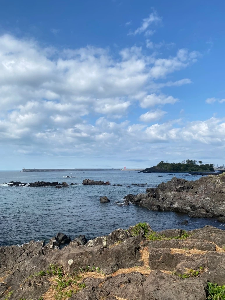 1649822494784%EF%BC%8D11.jpg?type=w773