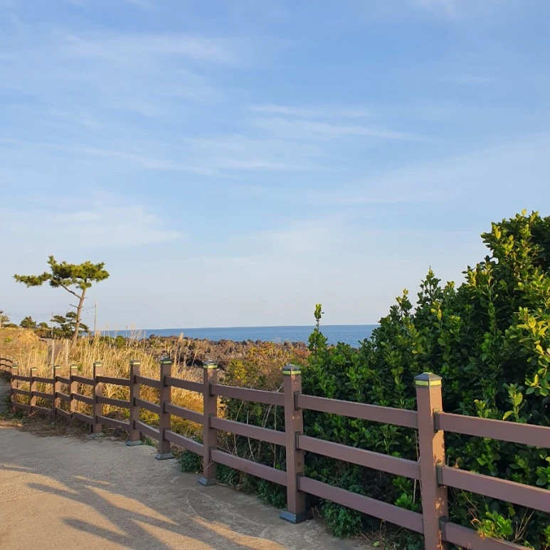 20220404%EF%BC%BF175247.jpg?type=w773