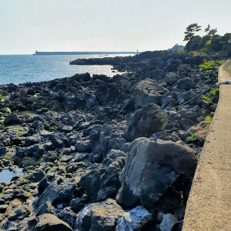 20220406%EF%BC%BF160006.jpg?type=w773