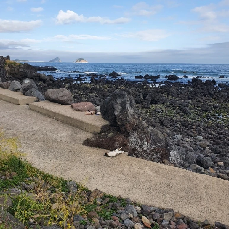 20220411%EF%BC%BF165224.jpg?type=w773