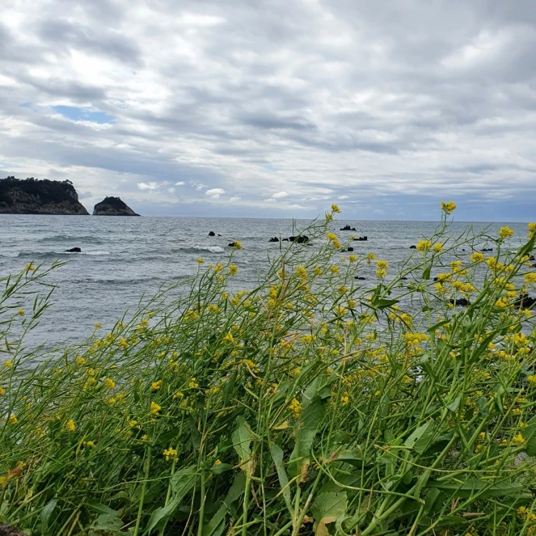 20220318%EF%BC%BF113400.jpg?type=w773