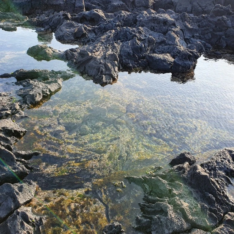 20220215%EF%BC%BF165545.jpg?type=w773