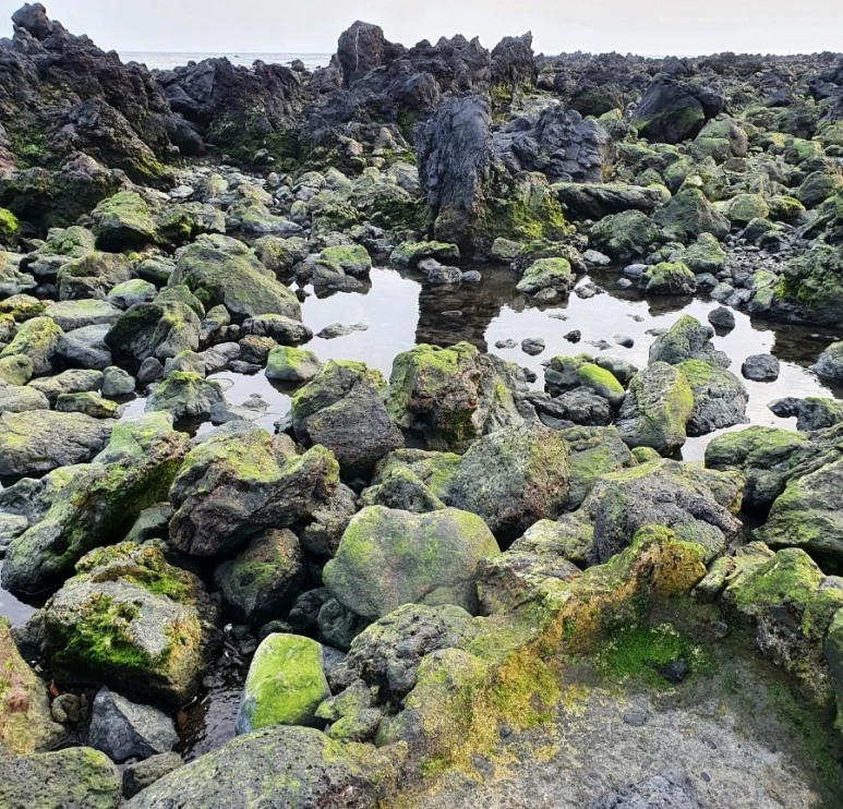 20220316%EF%BC%BF180509.jpg?type=w773