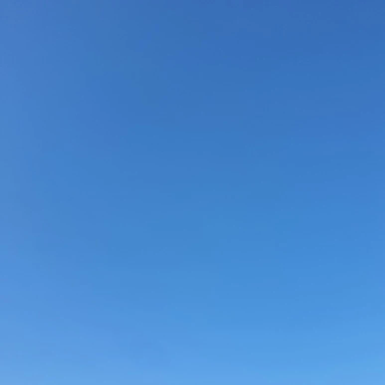 20220408%EF%BC%BF080355.jpg?type=w773