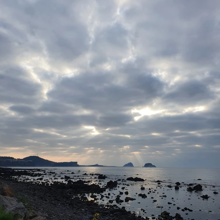 20220410%EF%BC%BF070749.jpg?type=w773