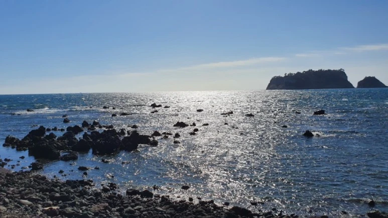 20220306%EF%BC%BF102924.jpg?type=w773