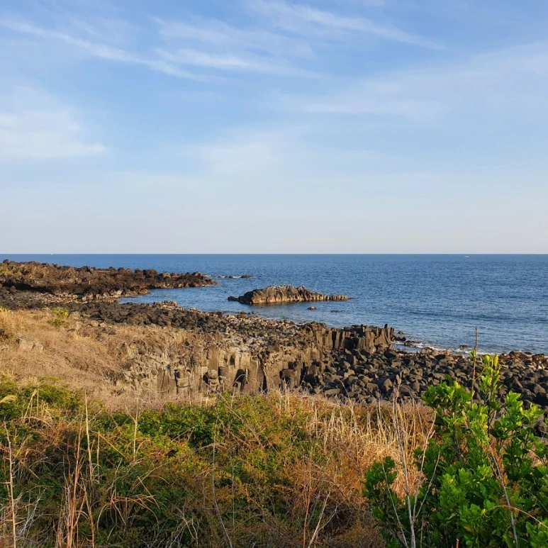 20220404%EF%BC%BF175030.jpg?type=w773