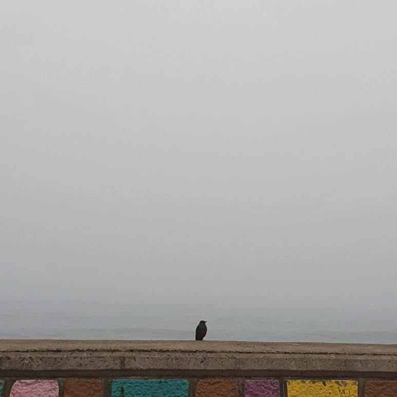 20220314%EF%BC%BF065936.jpg?type=w773