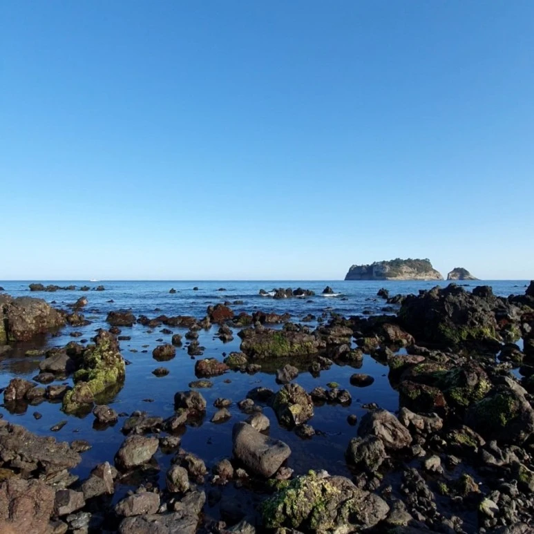 1654565889610.jpg?type=w773