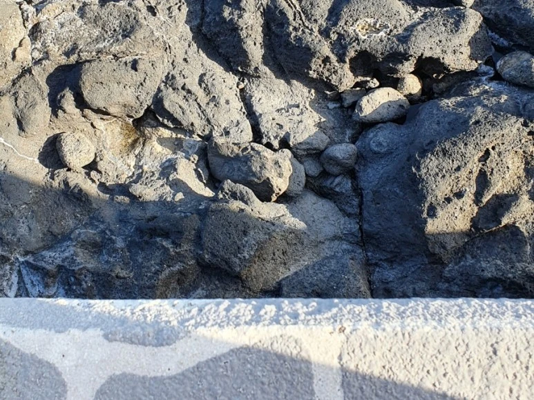 20220408%EF%BC%BF170651.jpg?type=w773