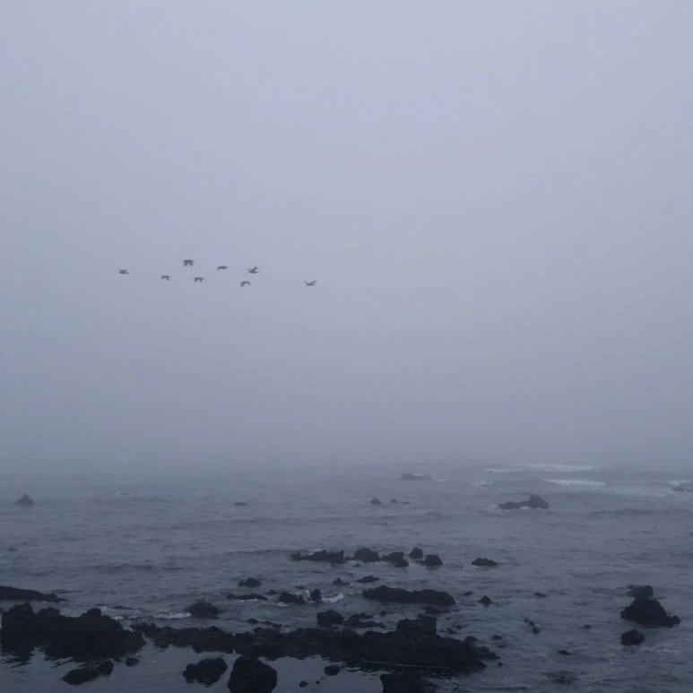 VideoCapture%EF%BC%BF20220314%EF%BC%8D074413.jpg?type=w773