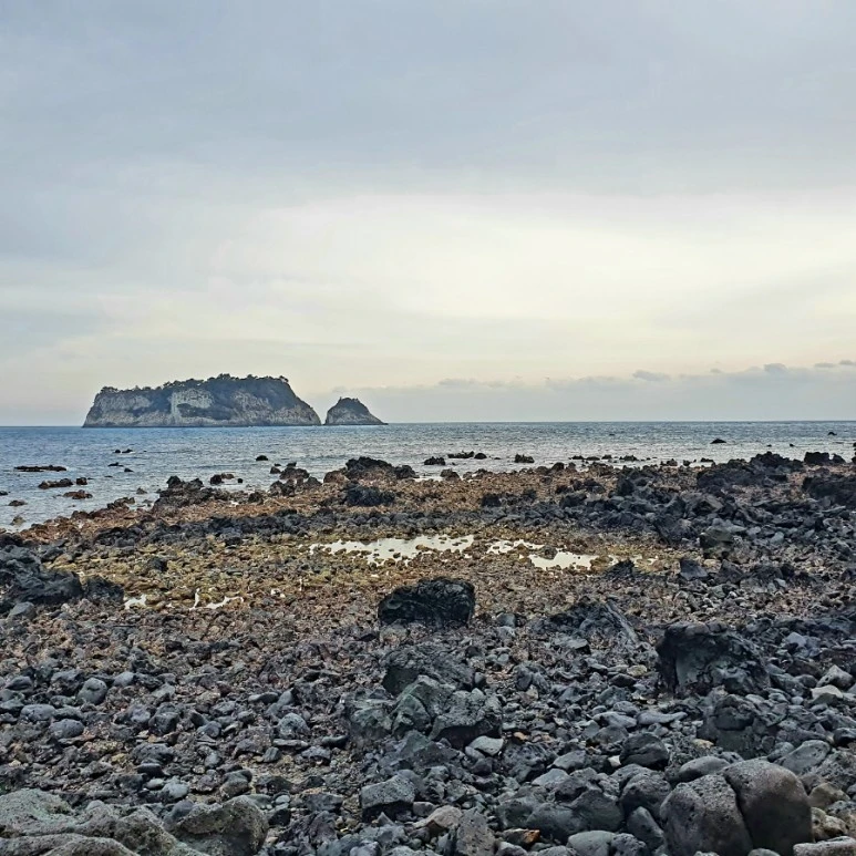 20220319%EF%BC%BF165952.jpg?type=w773