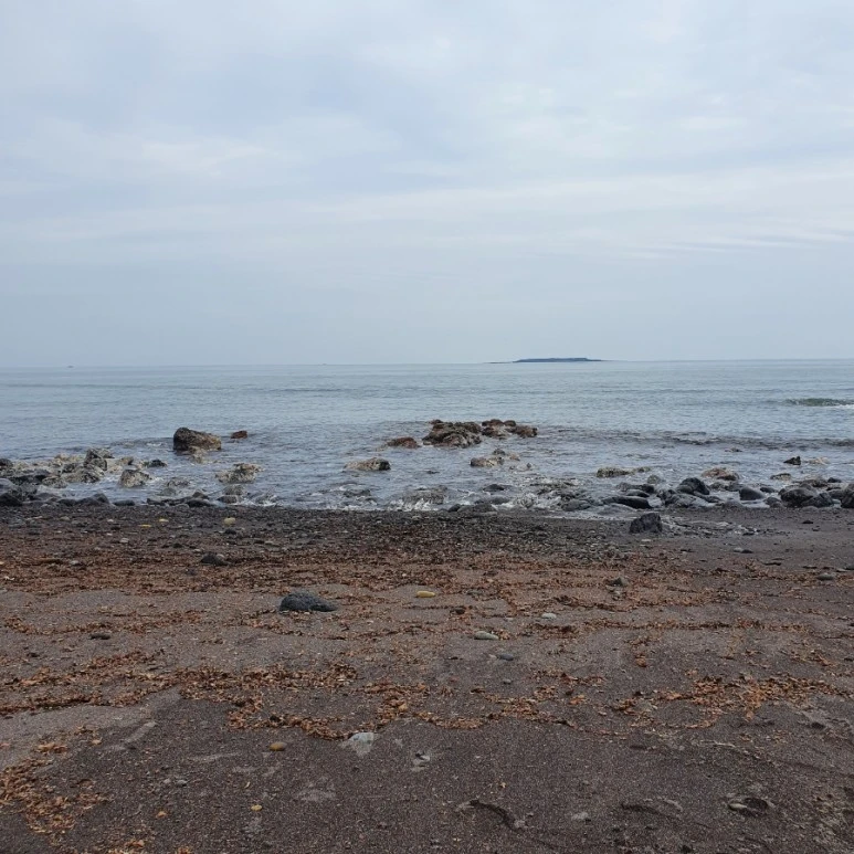 20220418%EF%BC%BF144651.jpg?type=w773