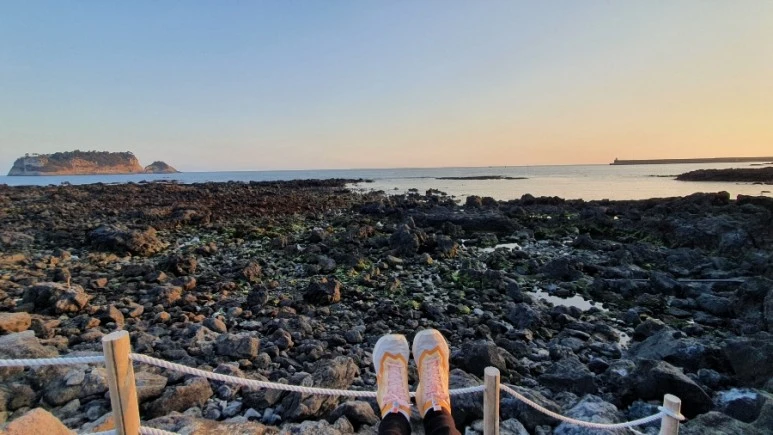 image639217852907186901720220307%EF%BC%BF181039.jpg?type=w773