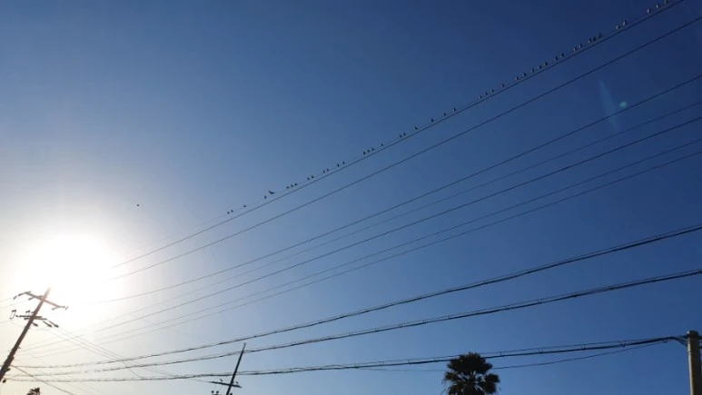 20220302%EF%BC%BF171544.jpg?type=w773