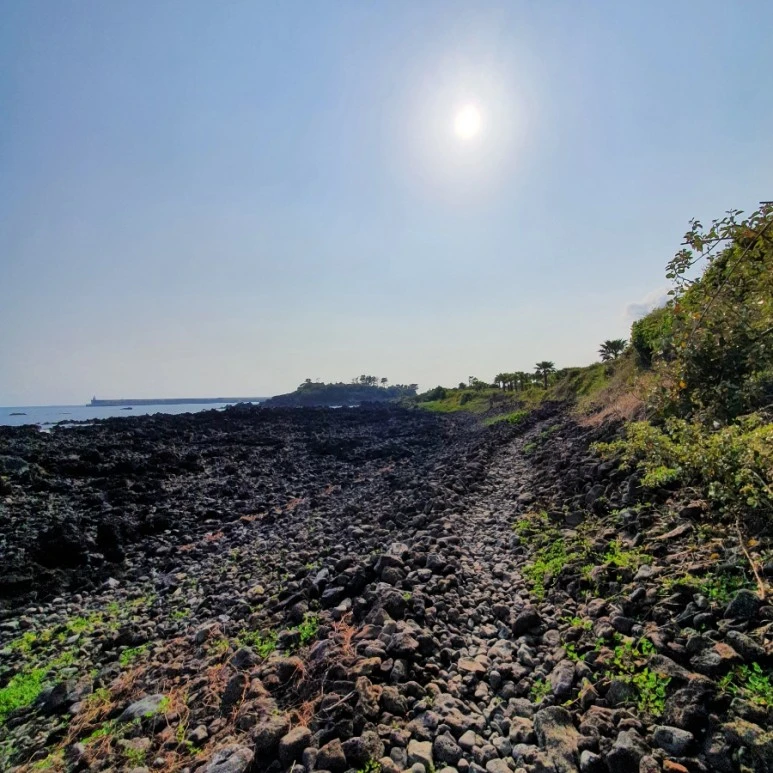 20220421%EF%BC%BF162350.jpg?type=w773