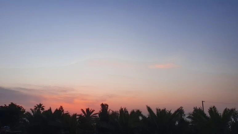 20220310%EF%BC%BF064849.jpg?type=w773