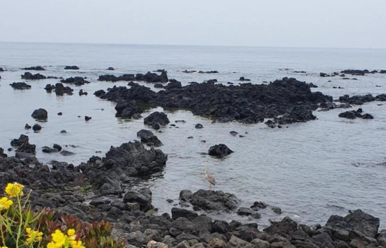 20220304%EF%BC%BF091900.jpg?type=w773