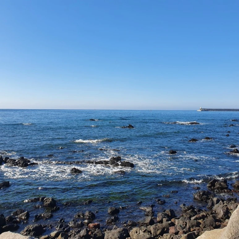 20220315%EF%BC%BF092150.jpg?type=w773