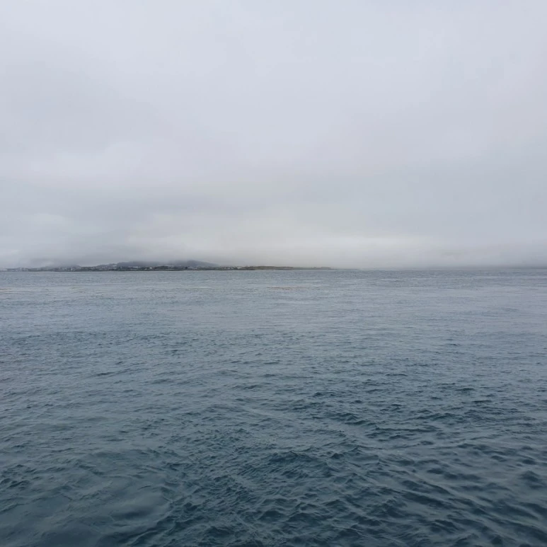 1655179401154.jpg?type=w773