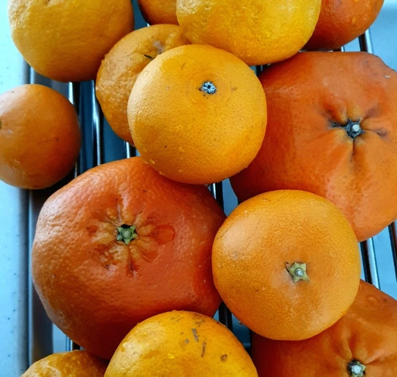 20220330%EF%BC%BF145951.jpg?type=w773