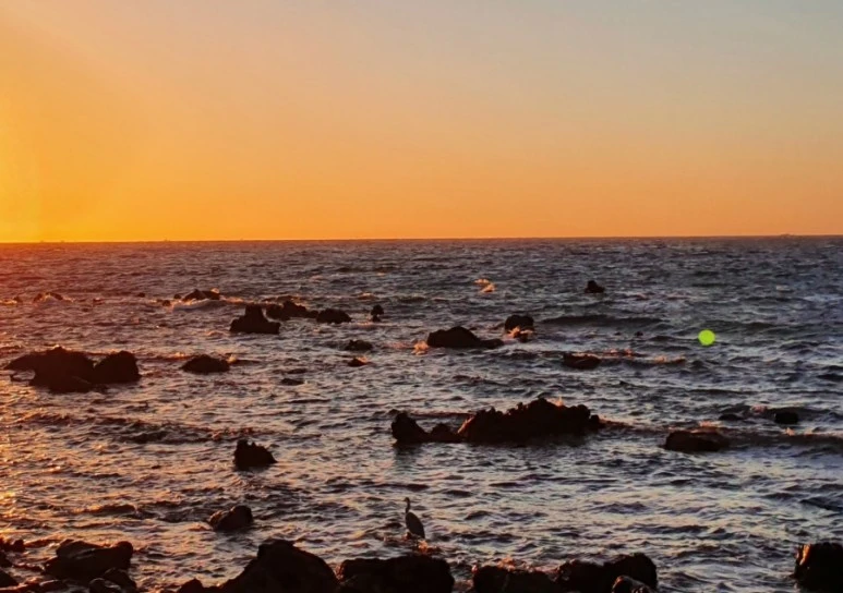 1652245053786.jpg?type=w773