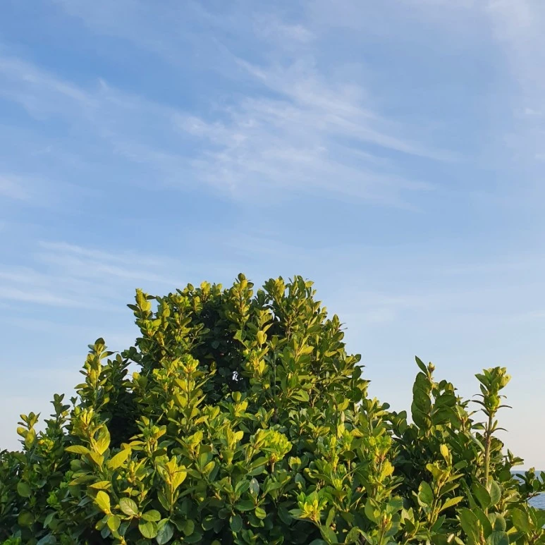 20220404%EF%BC%BF175314.jpg?type=w773