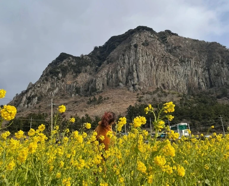 1651716991574.jpg?type=w773