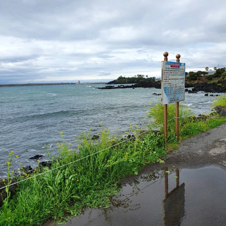 20220318%EF%BC%BF112821.jpg?type=w773