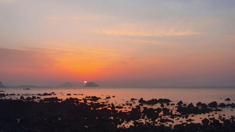 20220310%EF%BC%BF065737.jpg?type=w773