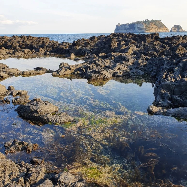 20220402%EF%BC%BF173334.jpg?type=w773